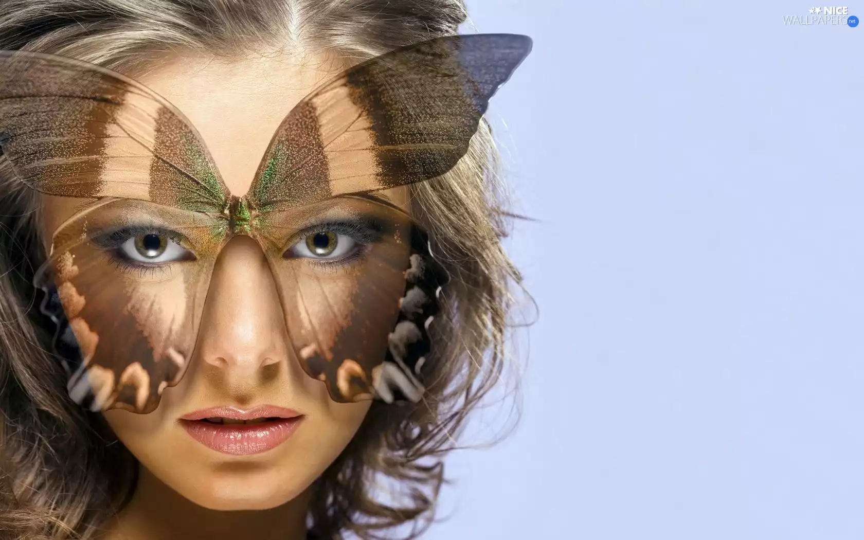 butterfly, Women, face