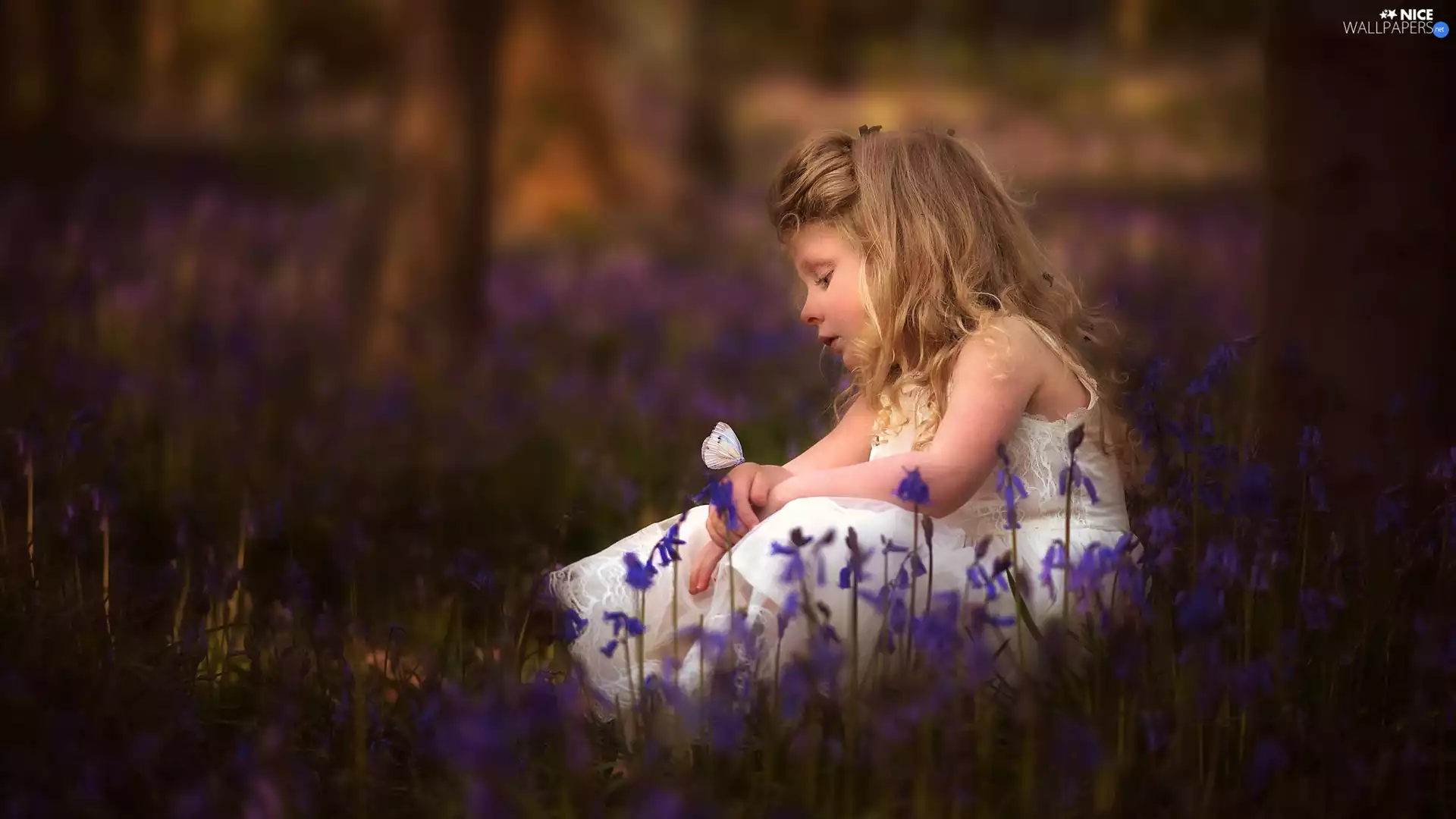 girl, Meadow, Flowers, butterfly