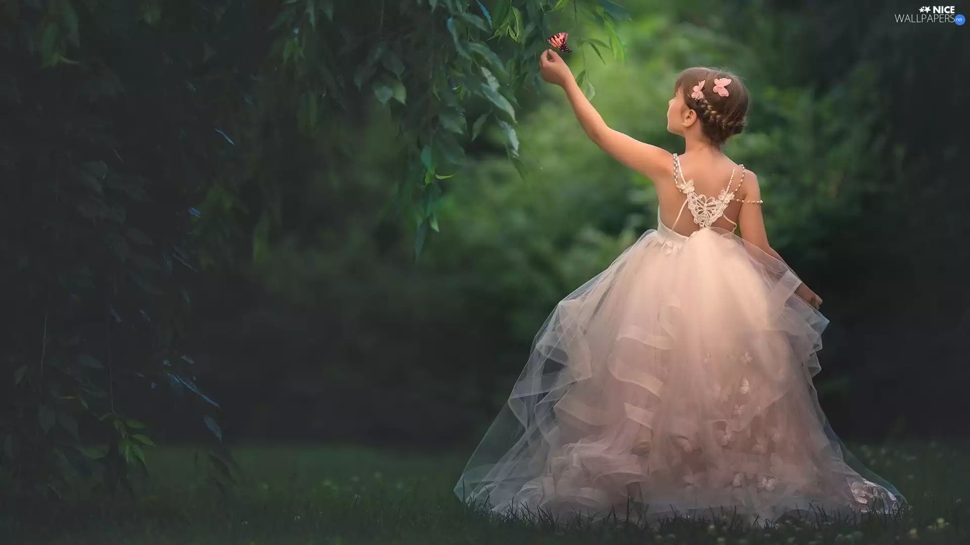 butterfly, girl, viewes, dress, car in the meadow, trees, Leaf