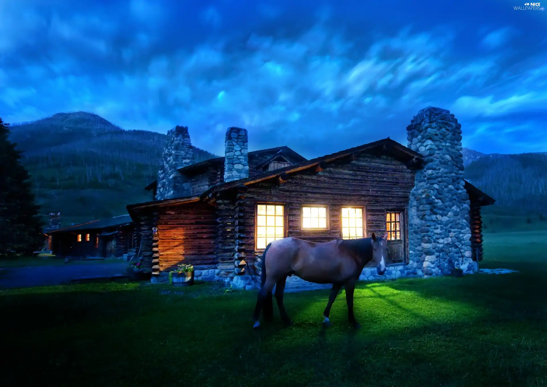 Cabin, Montana, house, Night, Horse