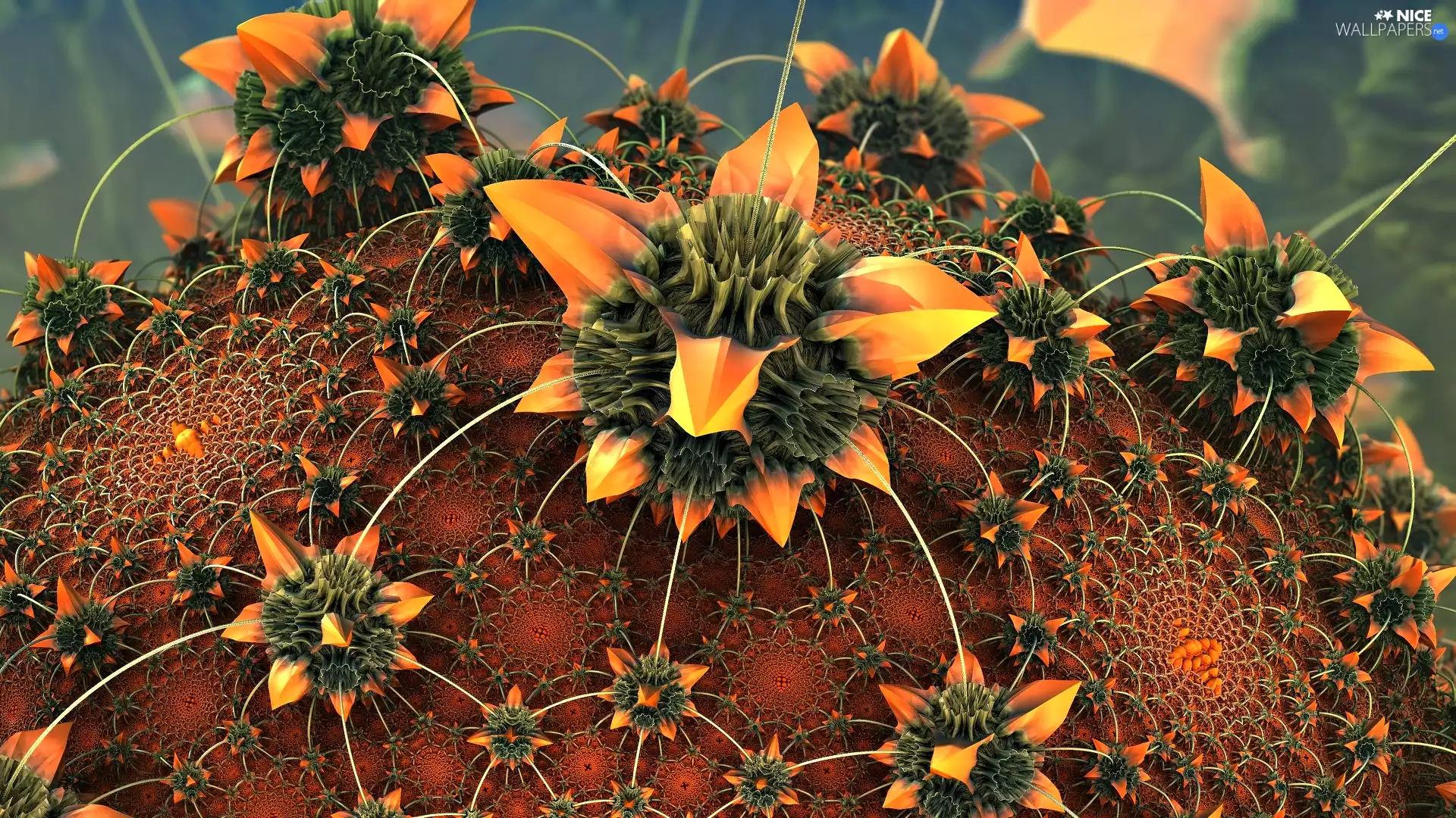 3D, Colourfull Flowers, Cactus