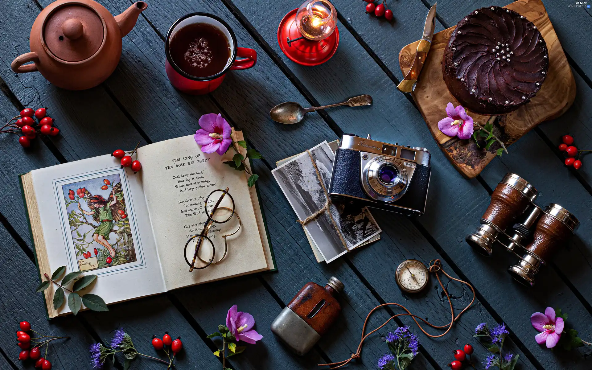 Camera, Book, jug, Watch, Cup, composition, Glasses, Plant, binoculars, cake