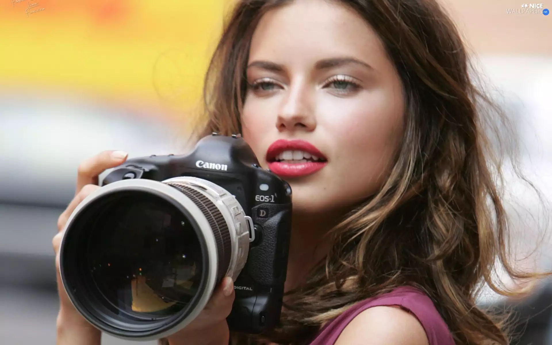 Women, Camera, photographic, make-up