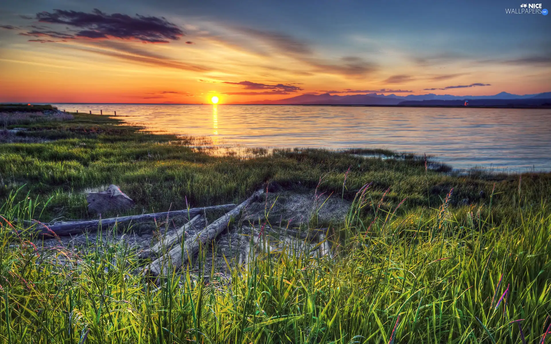 River, grass, Canada, Great Sunsets