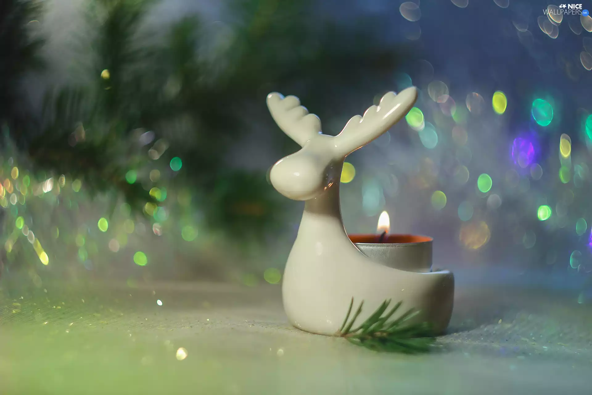 decoration, reindeer, color, candlestick, decoration, Christmas, Bokeh Candle