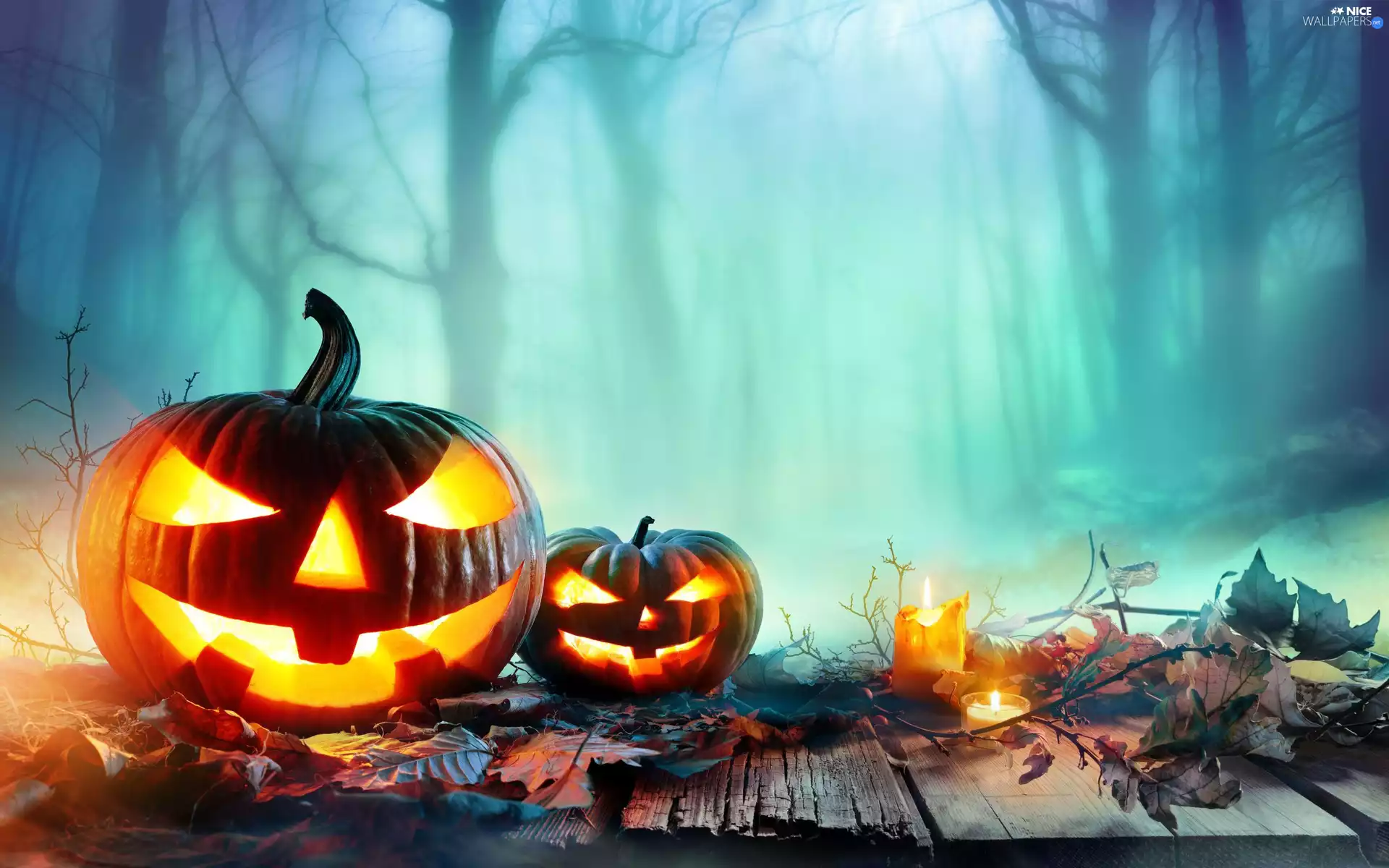Candles, Leaf, blurry background, trees, Fog, pumpkin, halloween, viewes