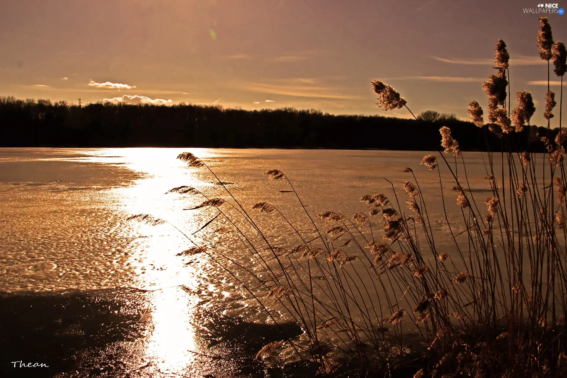 Cane, Great Sunsets, lake, dry, frozen