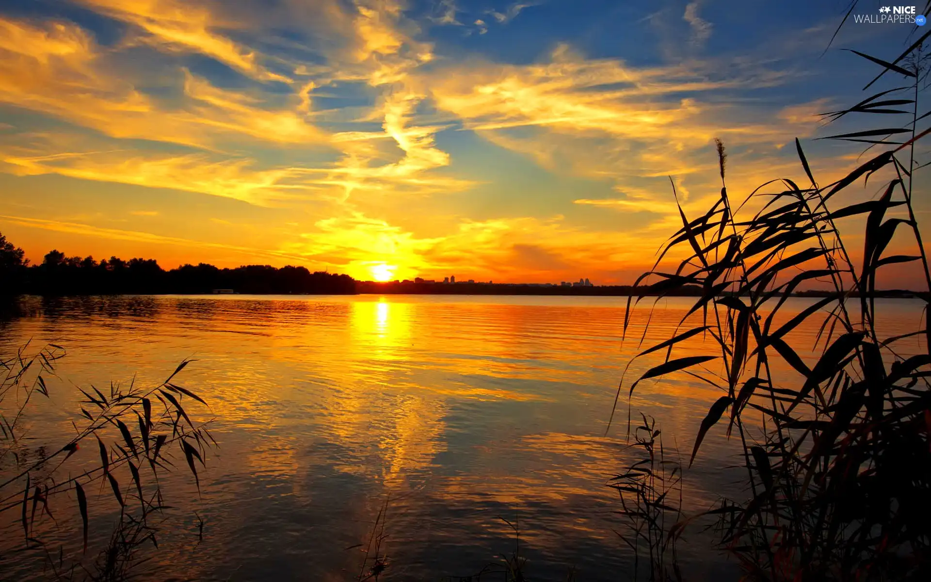 west, lake, cane, sun