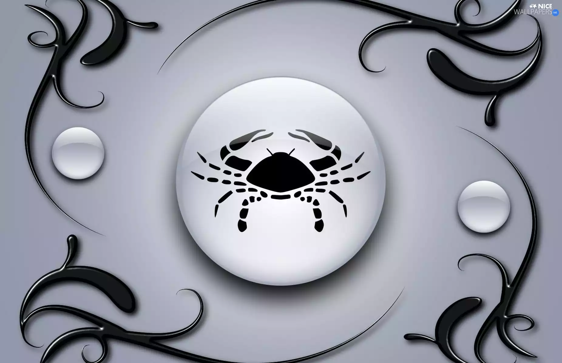 canker, Sign, Zodiac