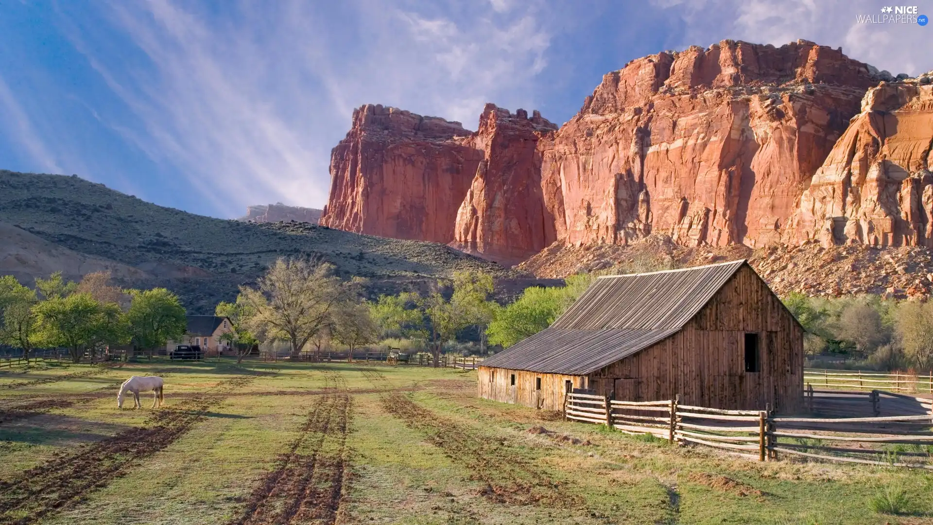 farm, Horse, canyon, pasture