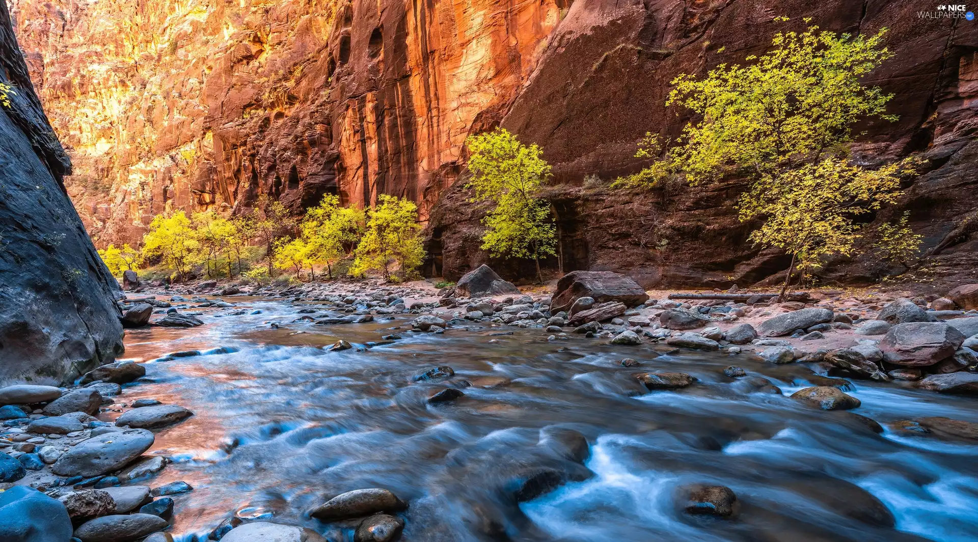 Stones, rocks, viewes, canyon, trees, River