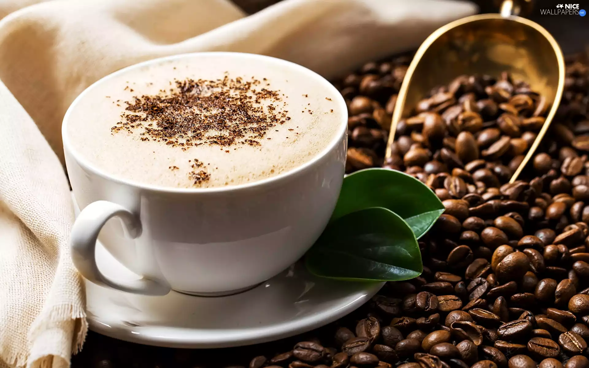 plate, leaves, Scoop, coffee, grains, cup, White, cappuccino