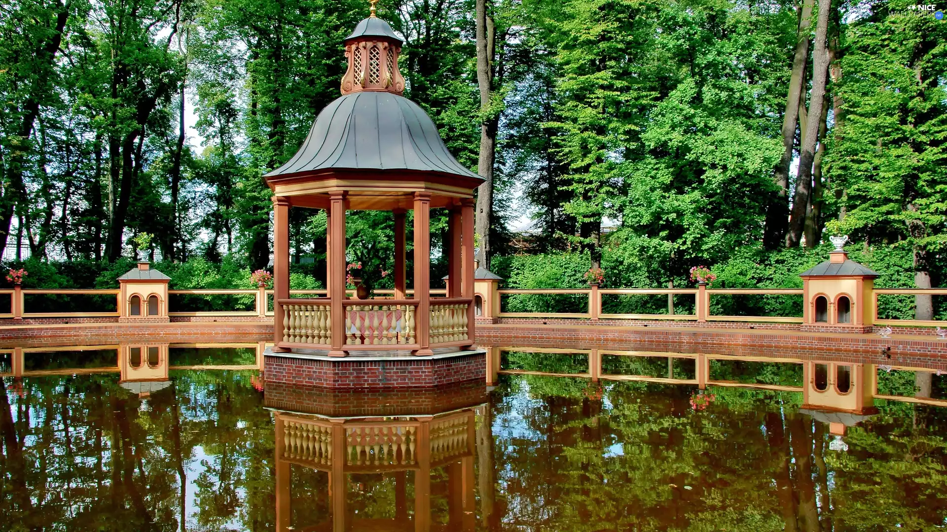 trees, viewes, Pond - car, reflection, arbour