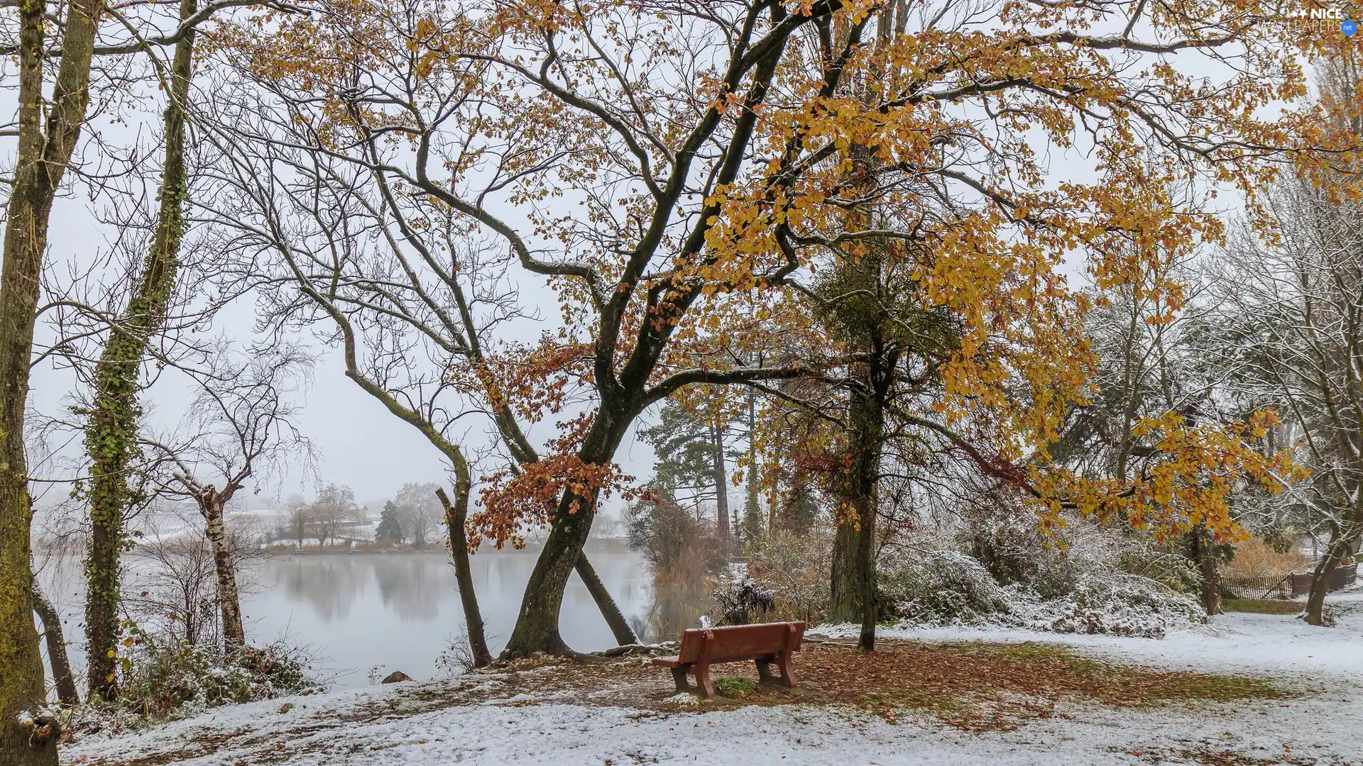 Bench, snow, Pond - car, Park, autumn