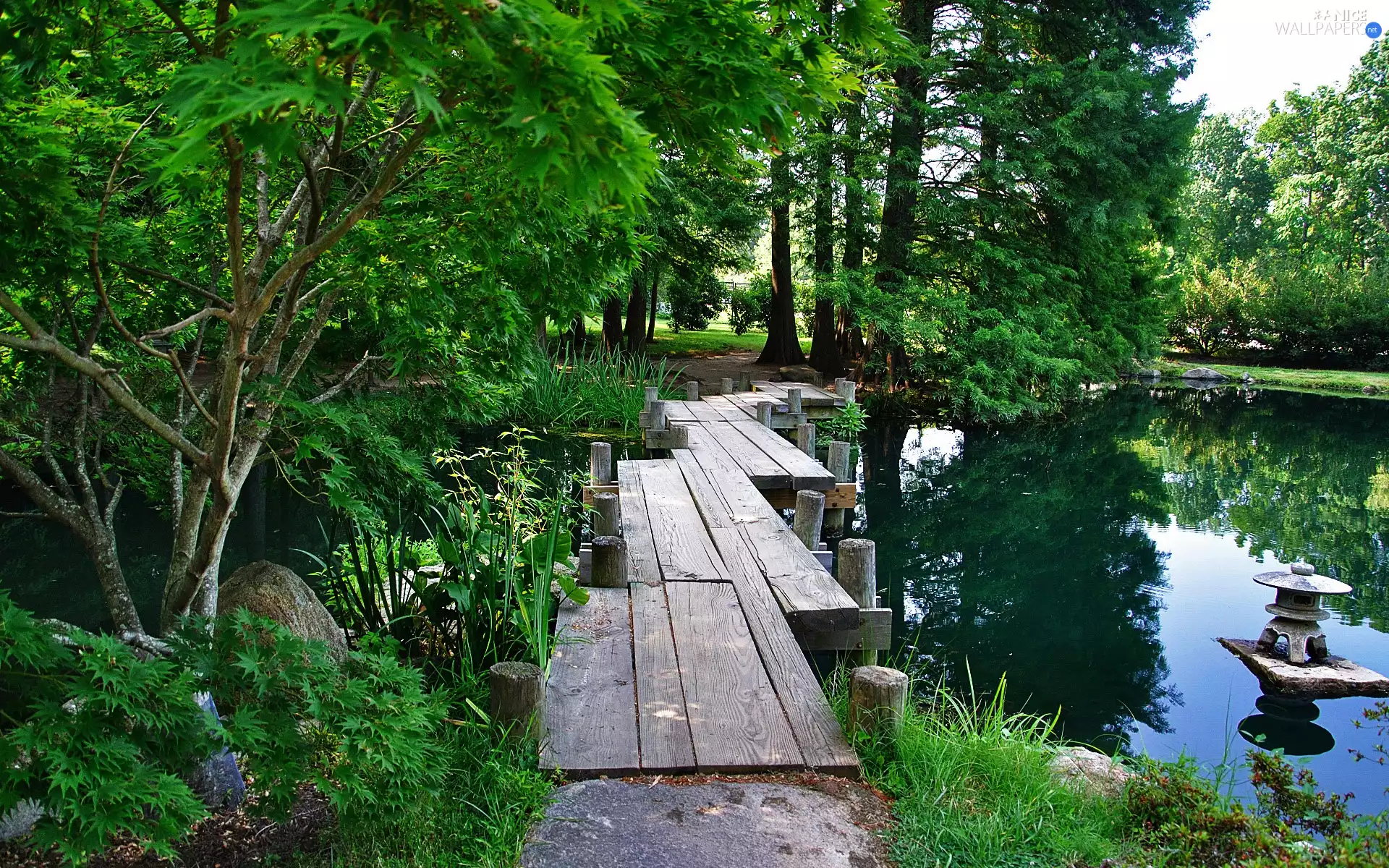 trees, viewes, Pond - car, footbridge, Garden