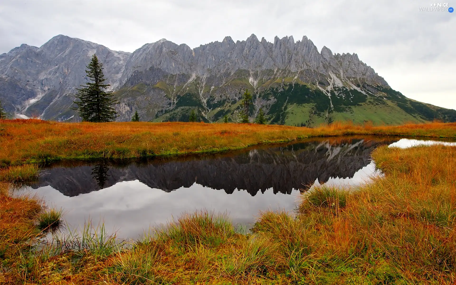 trees, autumn, Pond - car, grass, viewes, Mountains