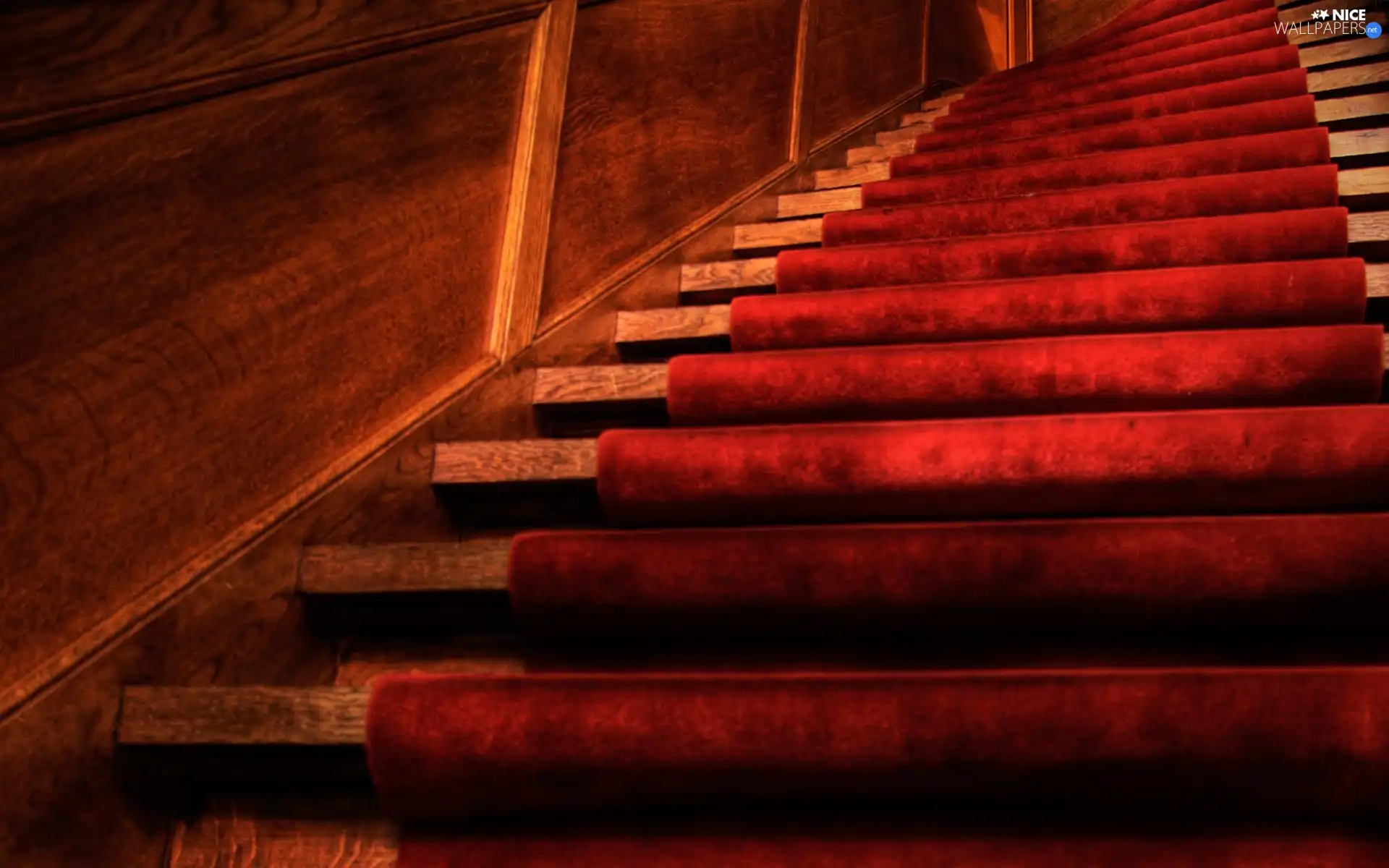 carpet, Stairs, Red