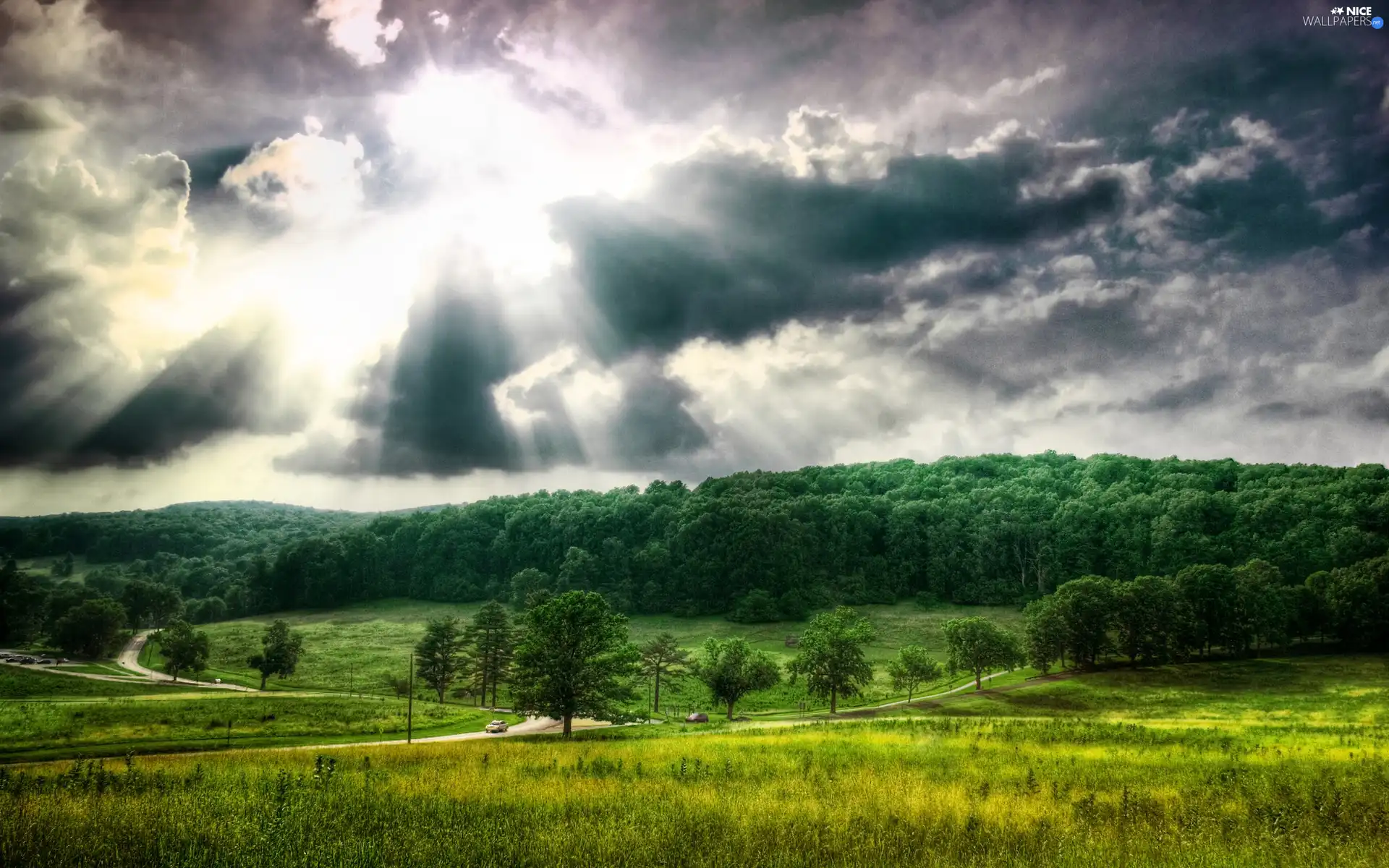 cars, clouds, medows, roads, forest