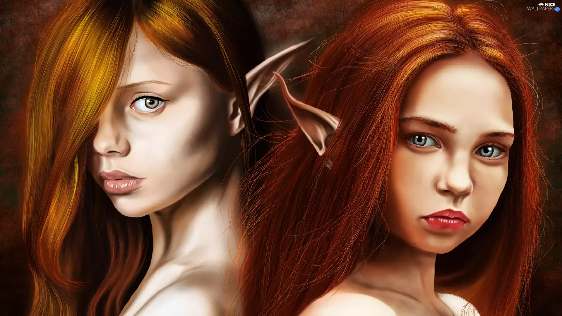 elves, fantasy, Two cars