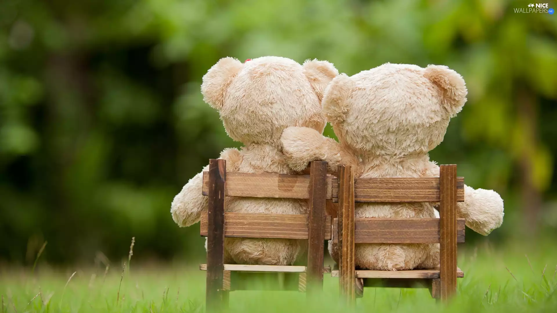 plushies, chairs, Two cars, bear, toys