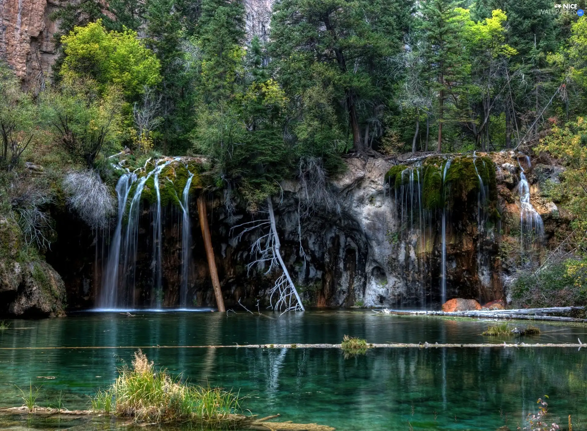 cascade, lake, forest