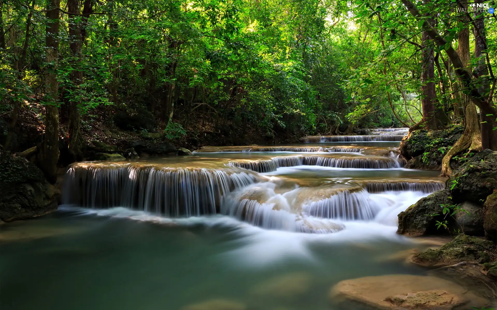 cascade, forest, River