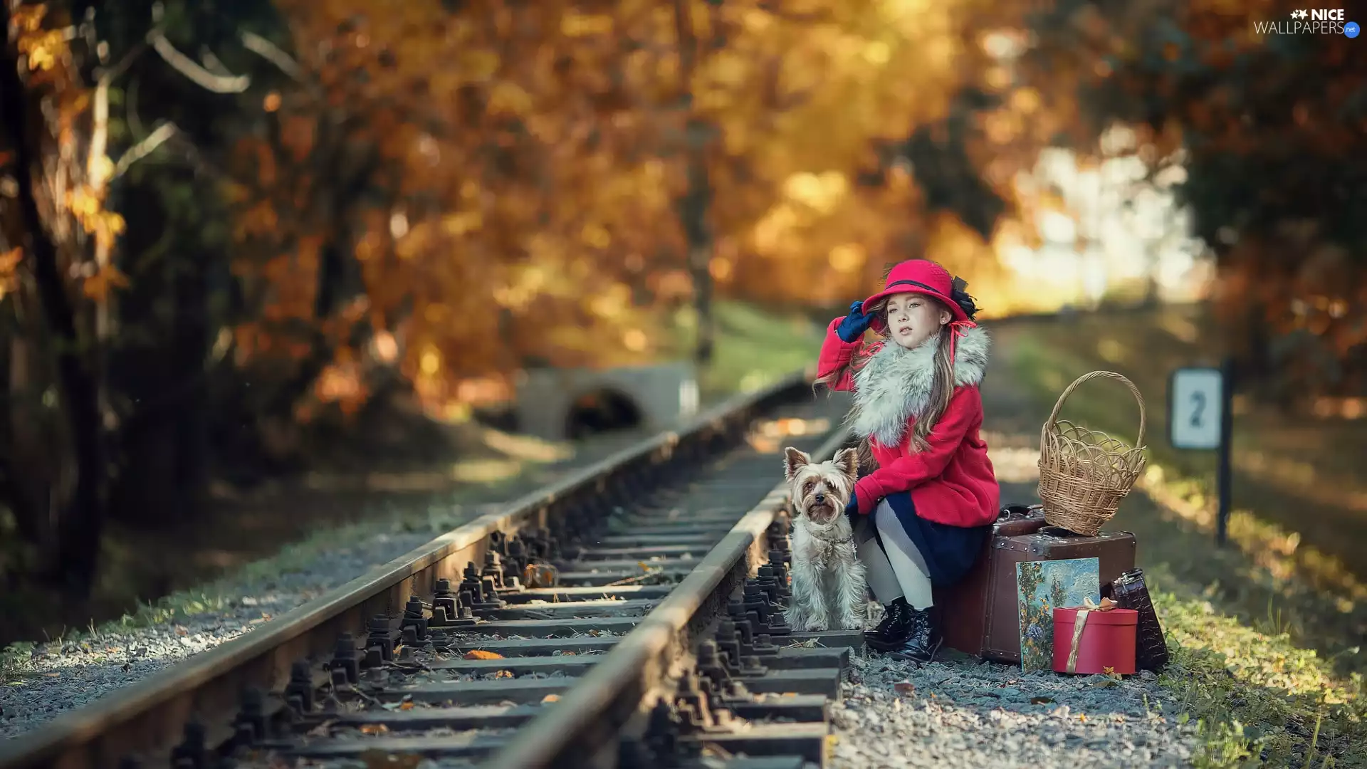 coat, Hat, ##, Baggage, doggy, Red, girl, case