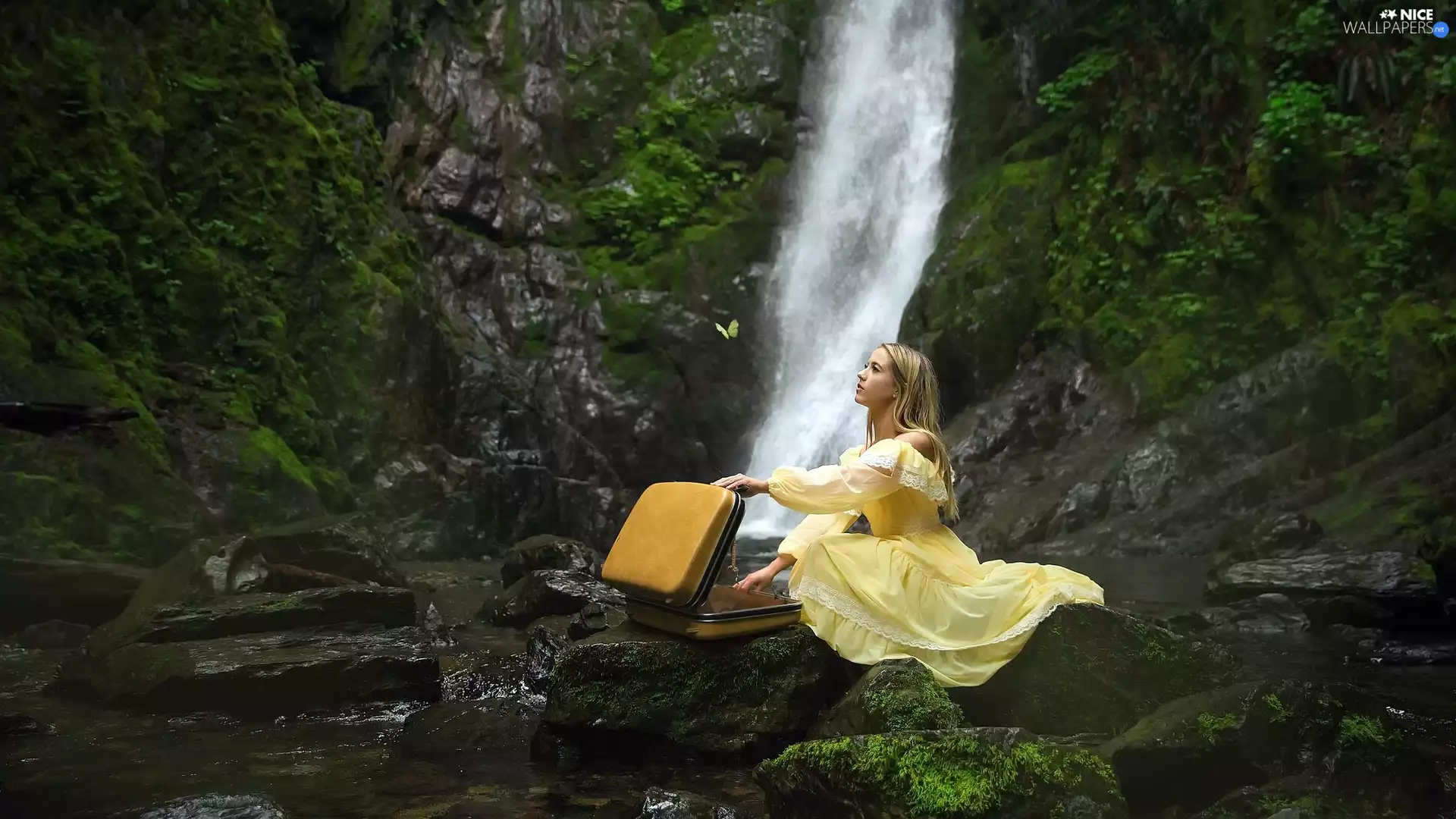 Women, waterfall, Stones, case