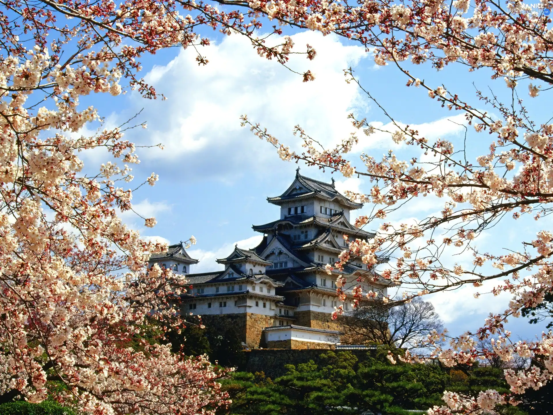 Himeji Jo, japanese, Castle