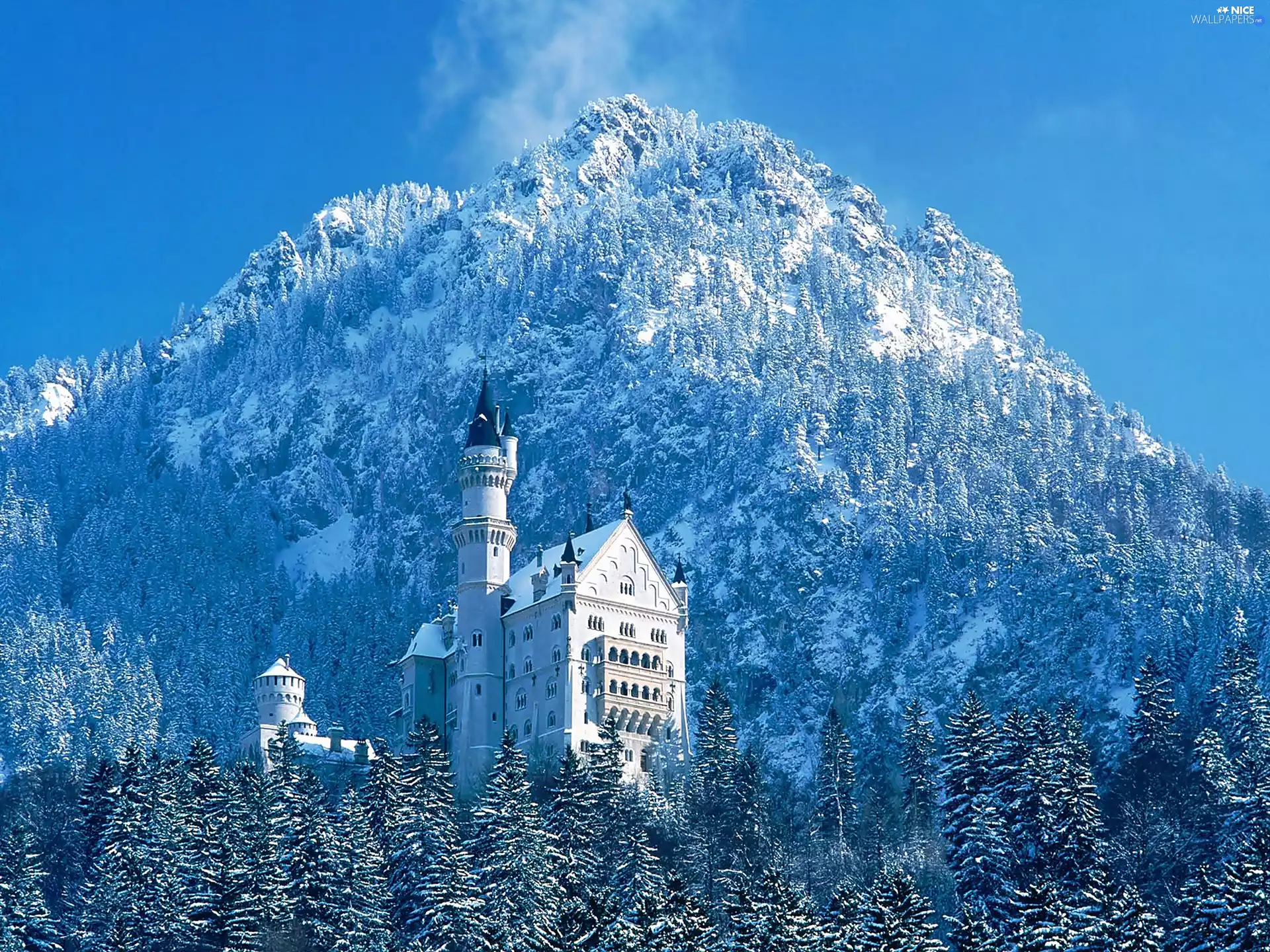 winter, forest, mountains, Castle