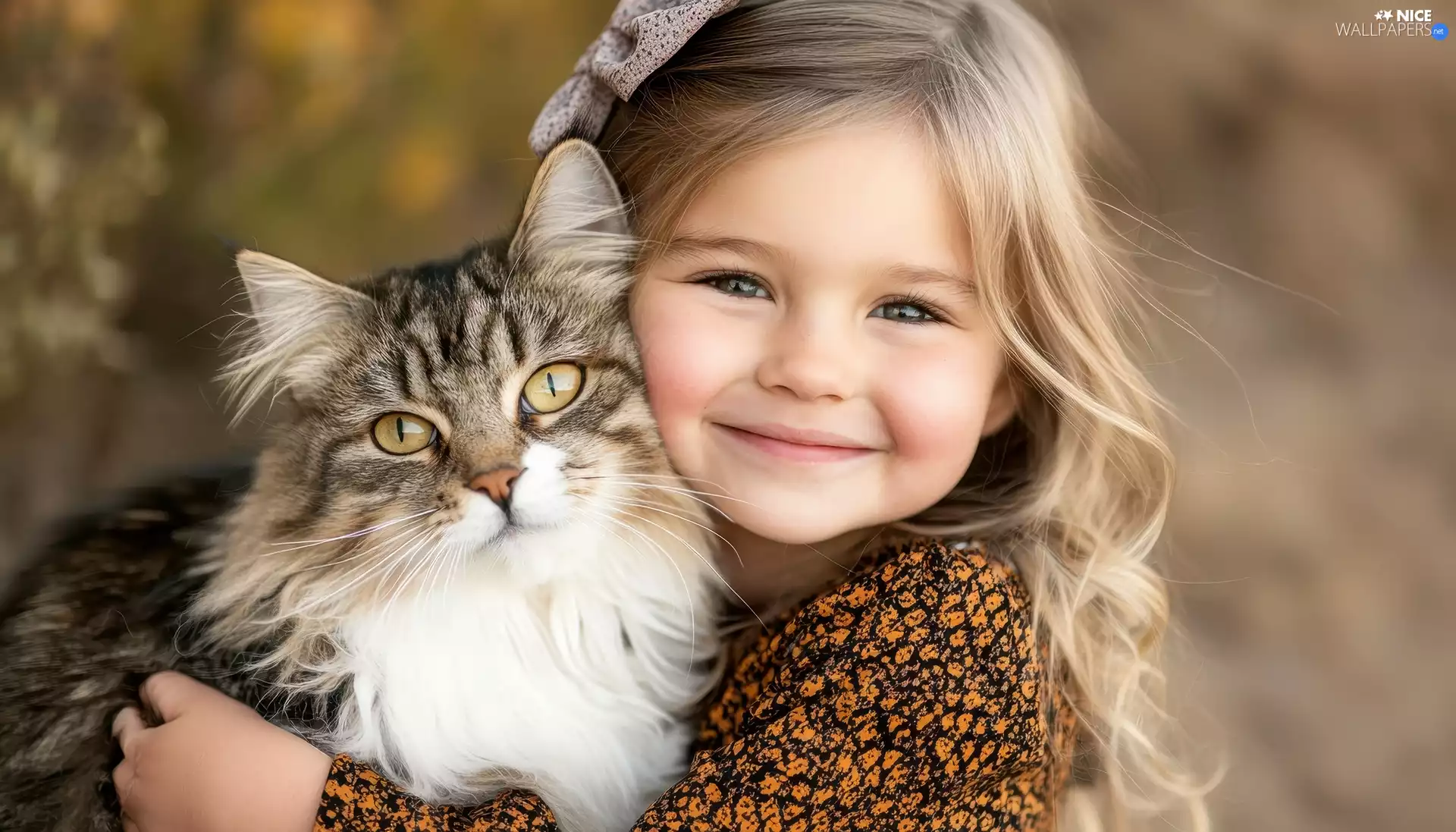 cat, girl, Longhaired