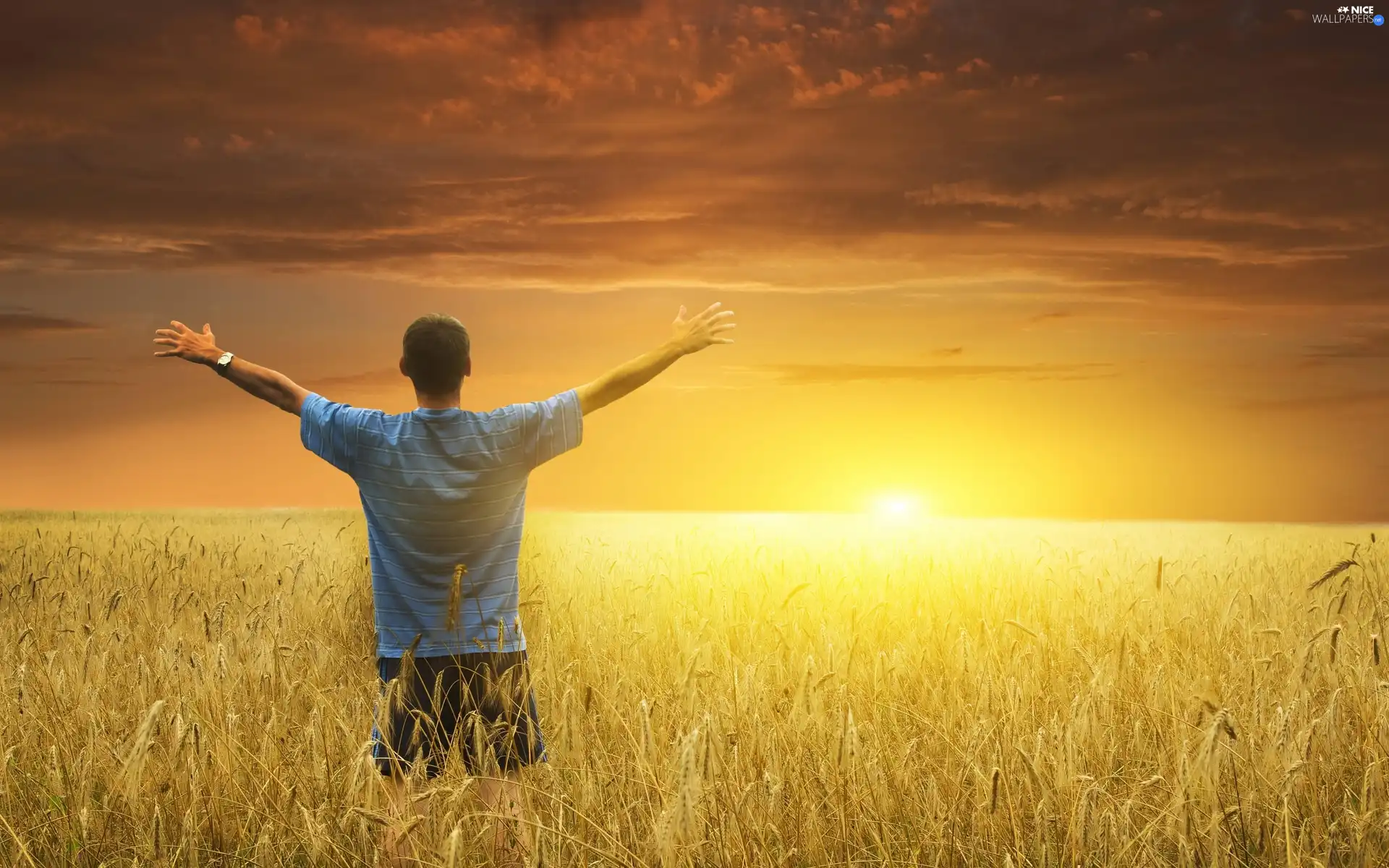 cereals, a man, sun, clouds, west