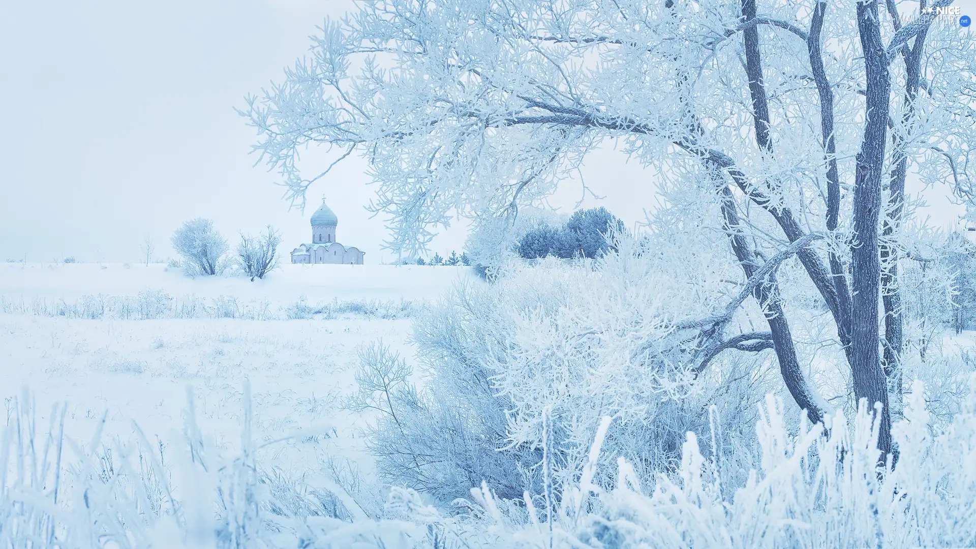 snow, trees, grass, viewes, winter, White frost, Cerkiew