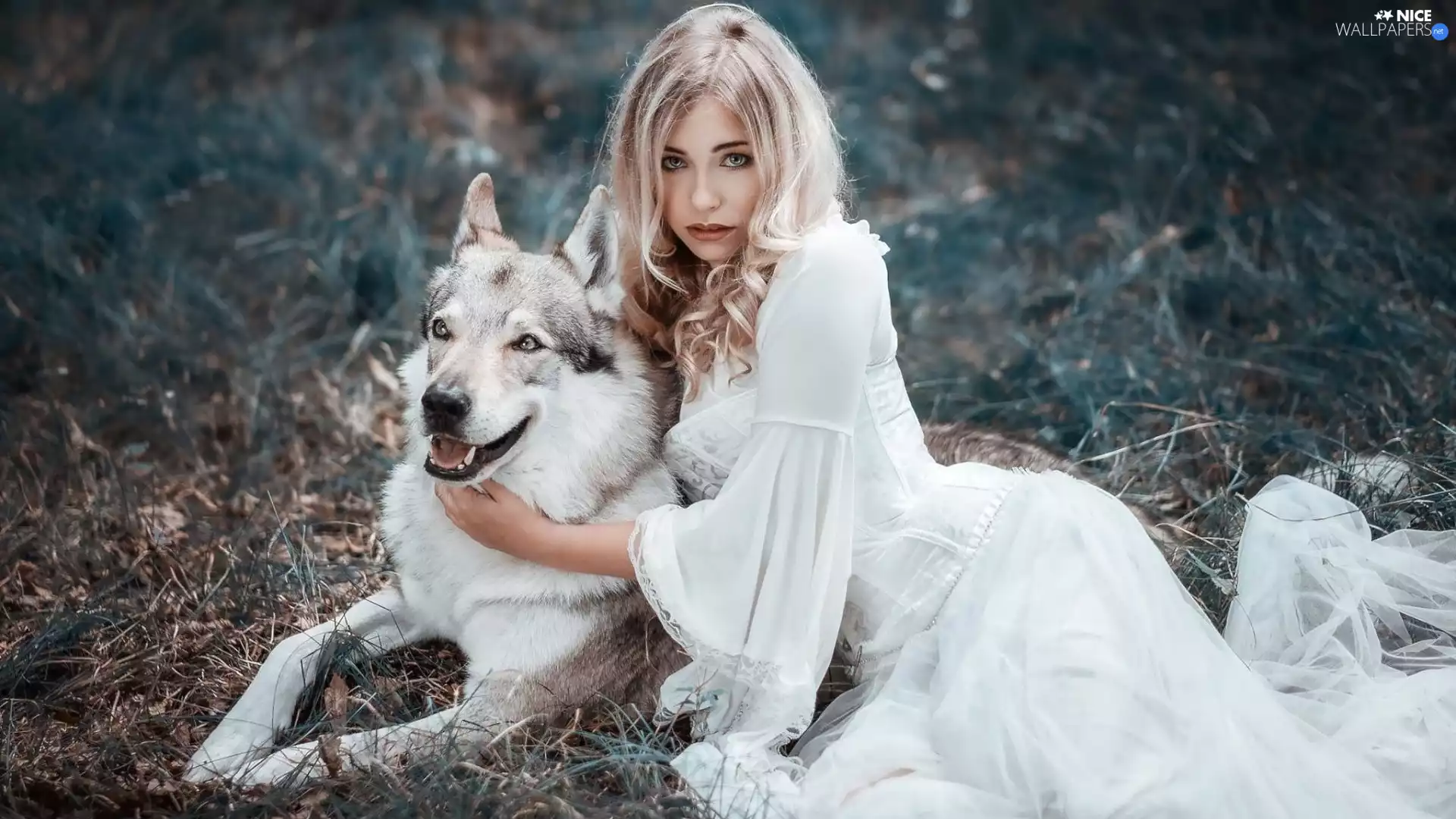 Cessy We, Blonde, blur, dog, grass, model, Women, Czechoslovakian Wolfdog
