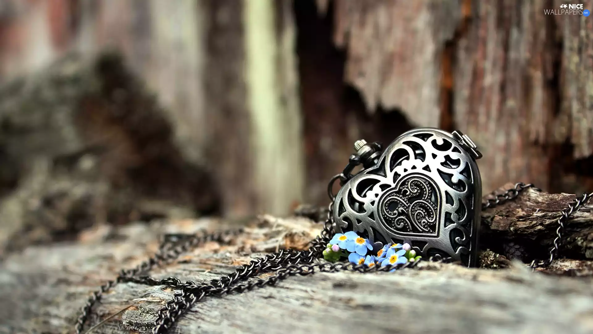 metal, Necklace, forget-me-not, Background in blur, neck chain, Heart teddybear