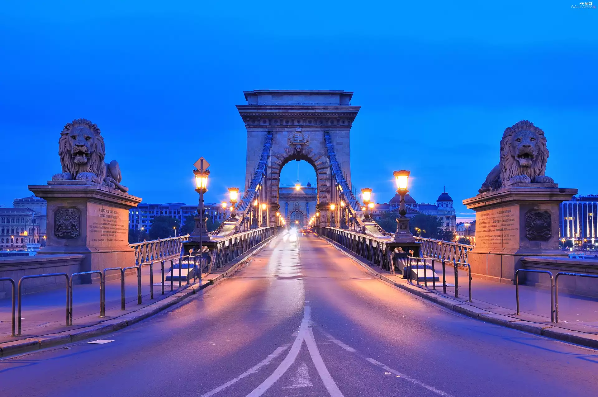 statues, lions, Budapest, Chain Bridge, Hungary