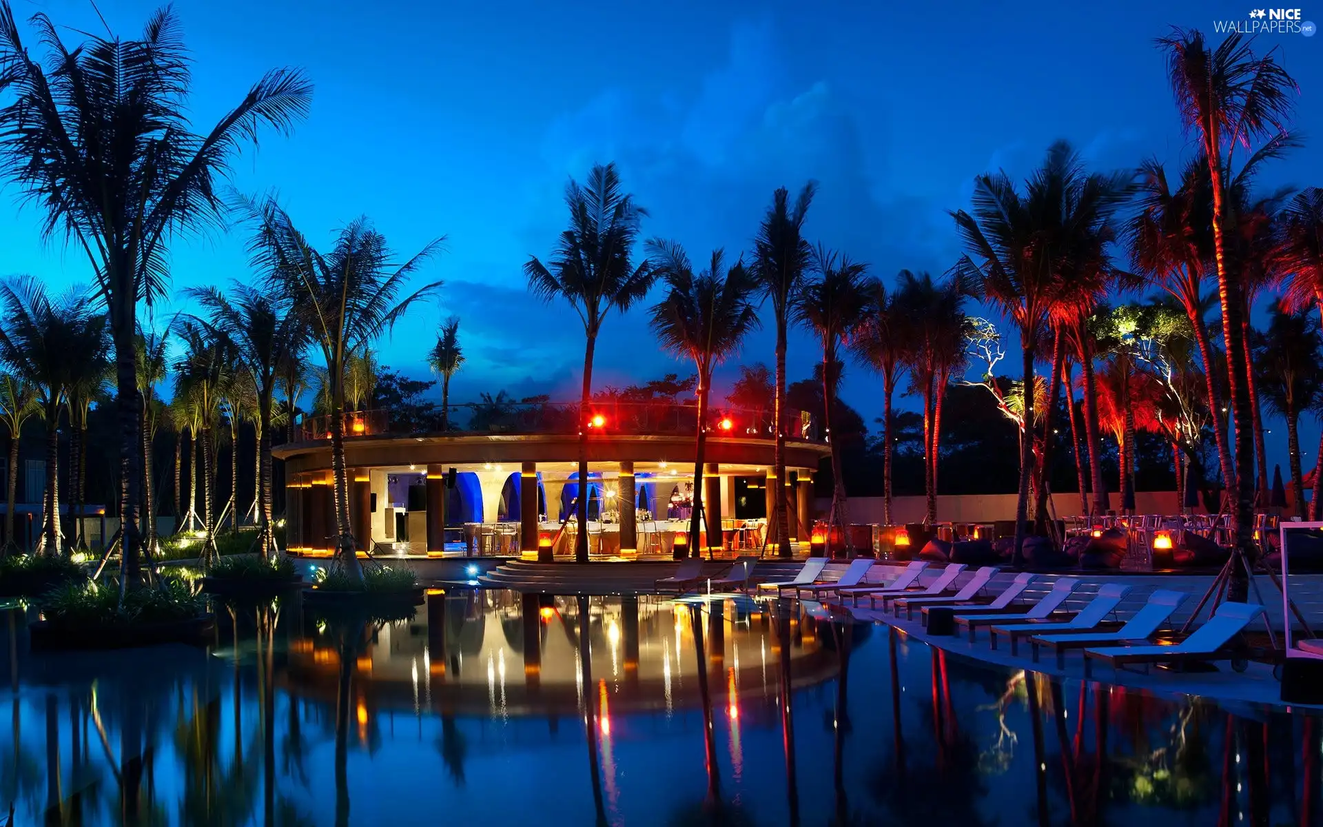 Pool, Floodlit, Palms, holiday, deck chair, Hotel hall