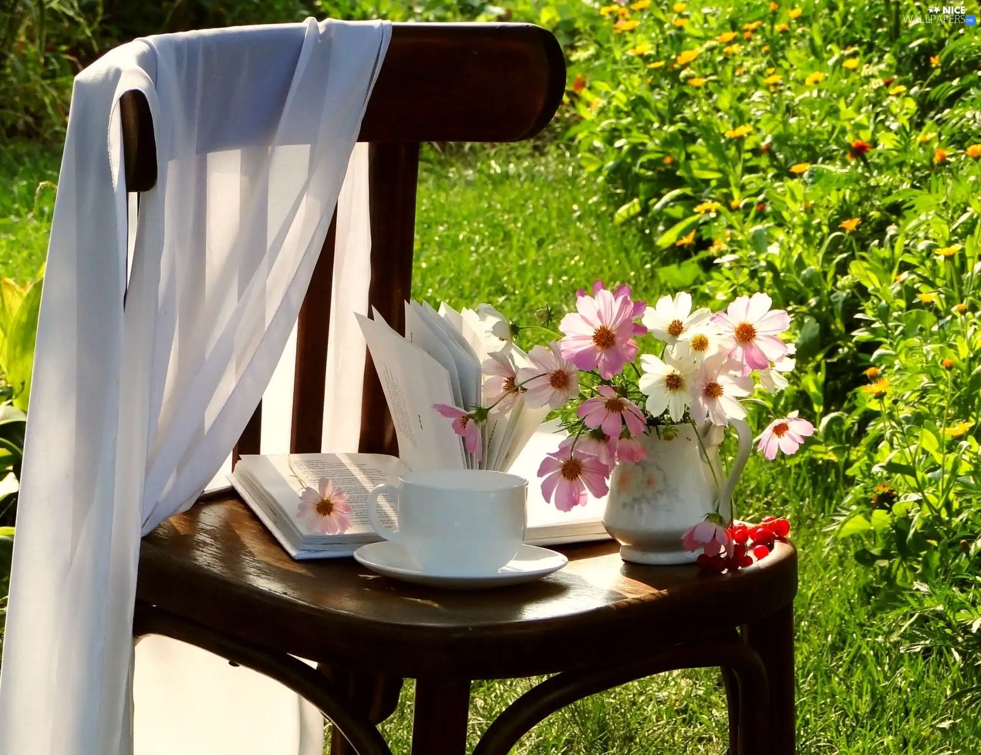 Chair, Garden, Cosmos, Book, Flowers