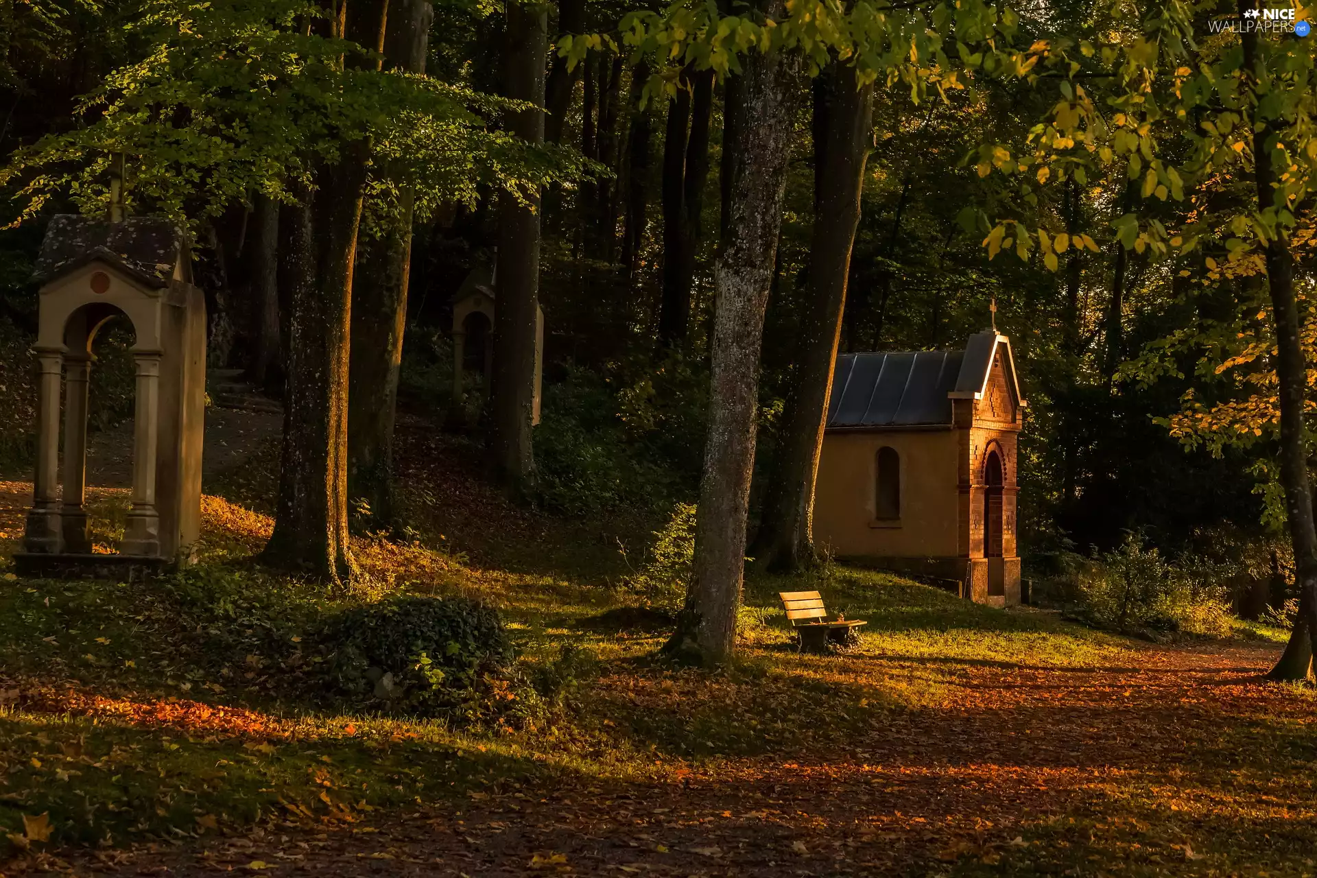 Bench, chapel, trees, viewes, forest