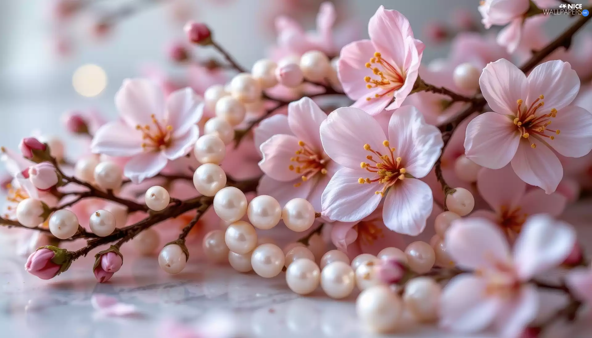 Pearl, chaplet, Flowers, Twigs, Pink