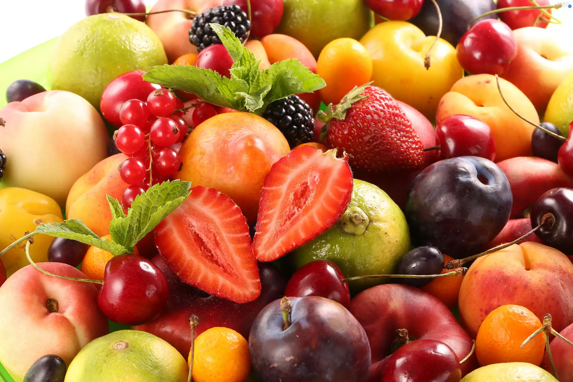 strawberries, Fruits, currants, cherries, apricots, plums