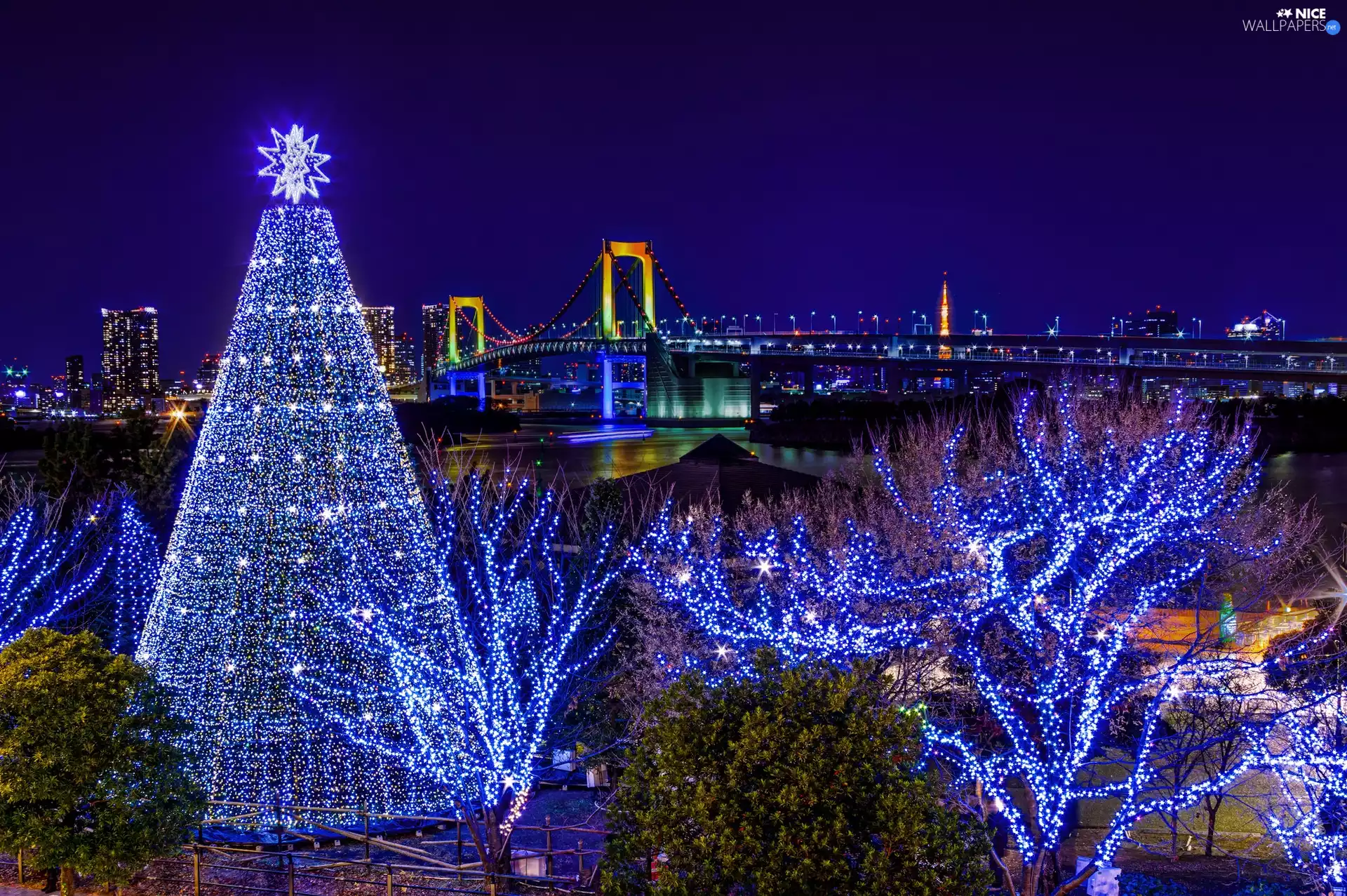 decor, Tokio, River, christmas tree, bridge
