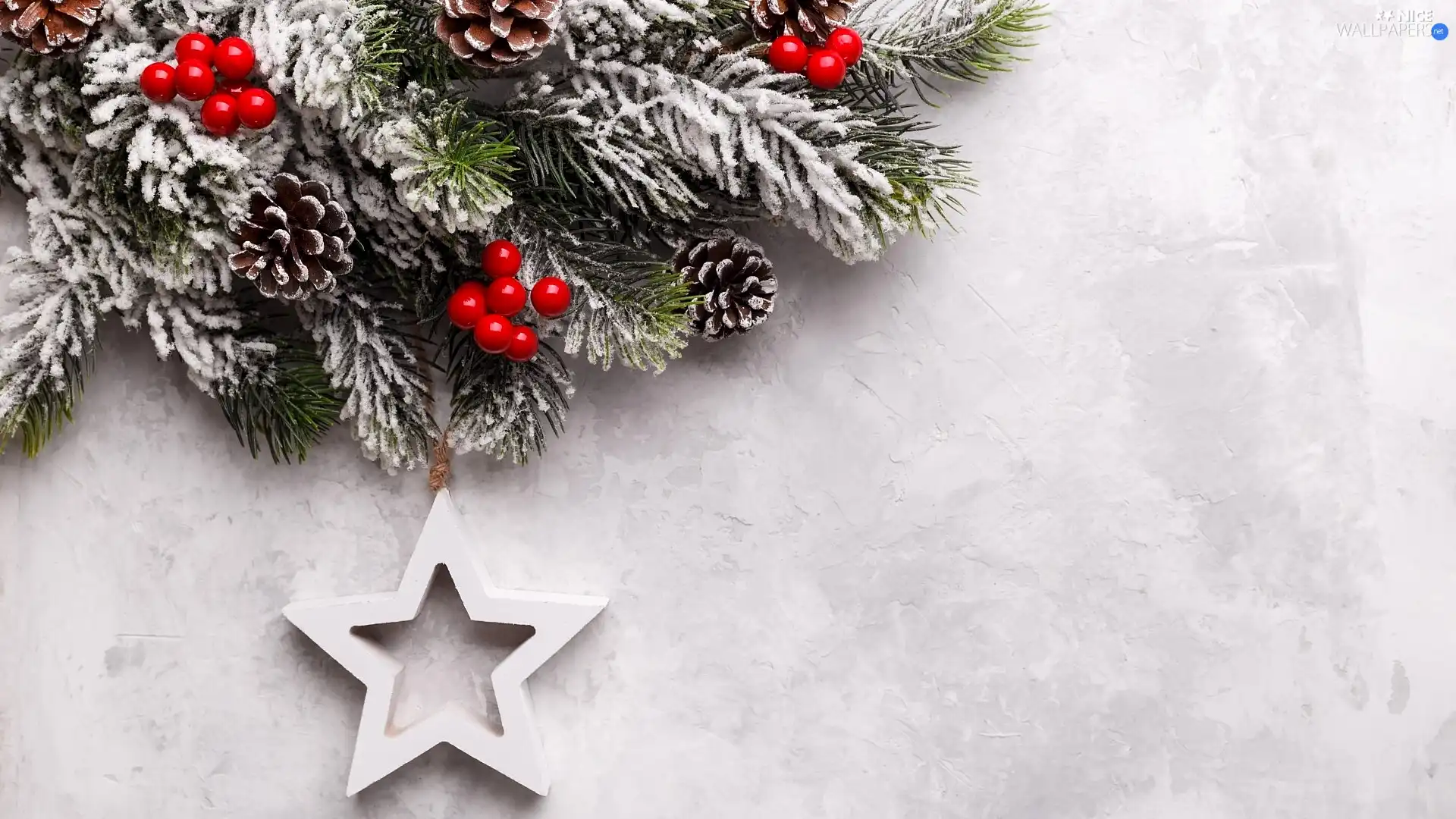 blueberries, Pendant, Christmas, starfish, ornamentation, cones, Twigs, Christmas