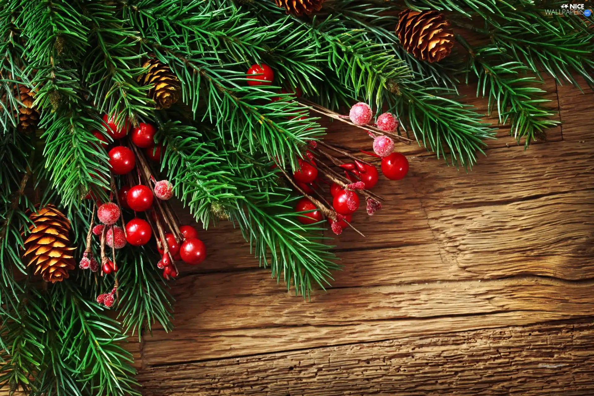 cone, spruce, christmas, Twigs