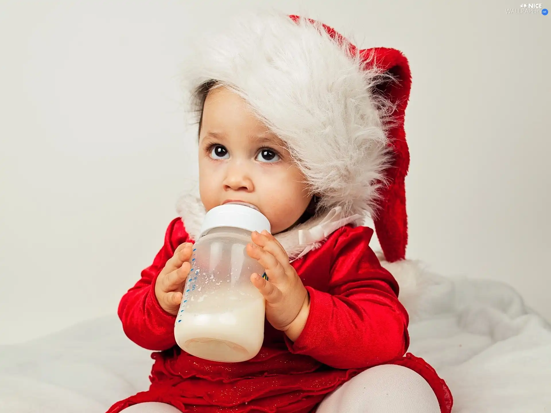 little doggies, Bottle, Christmas, Kid