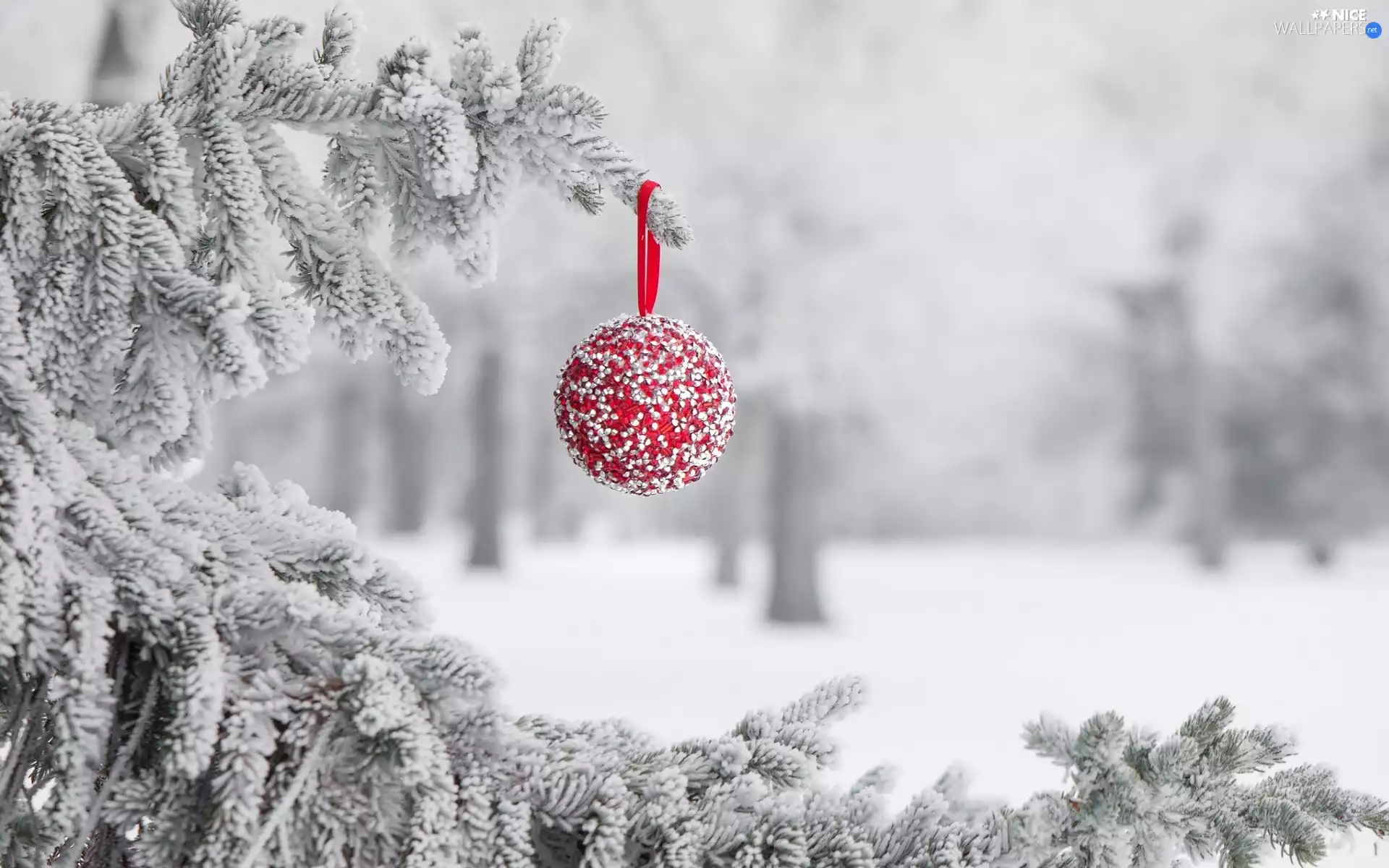 branch, winter, decoration, Christmas, bauble, frosted