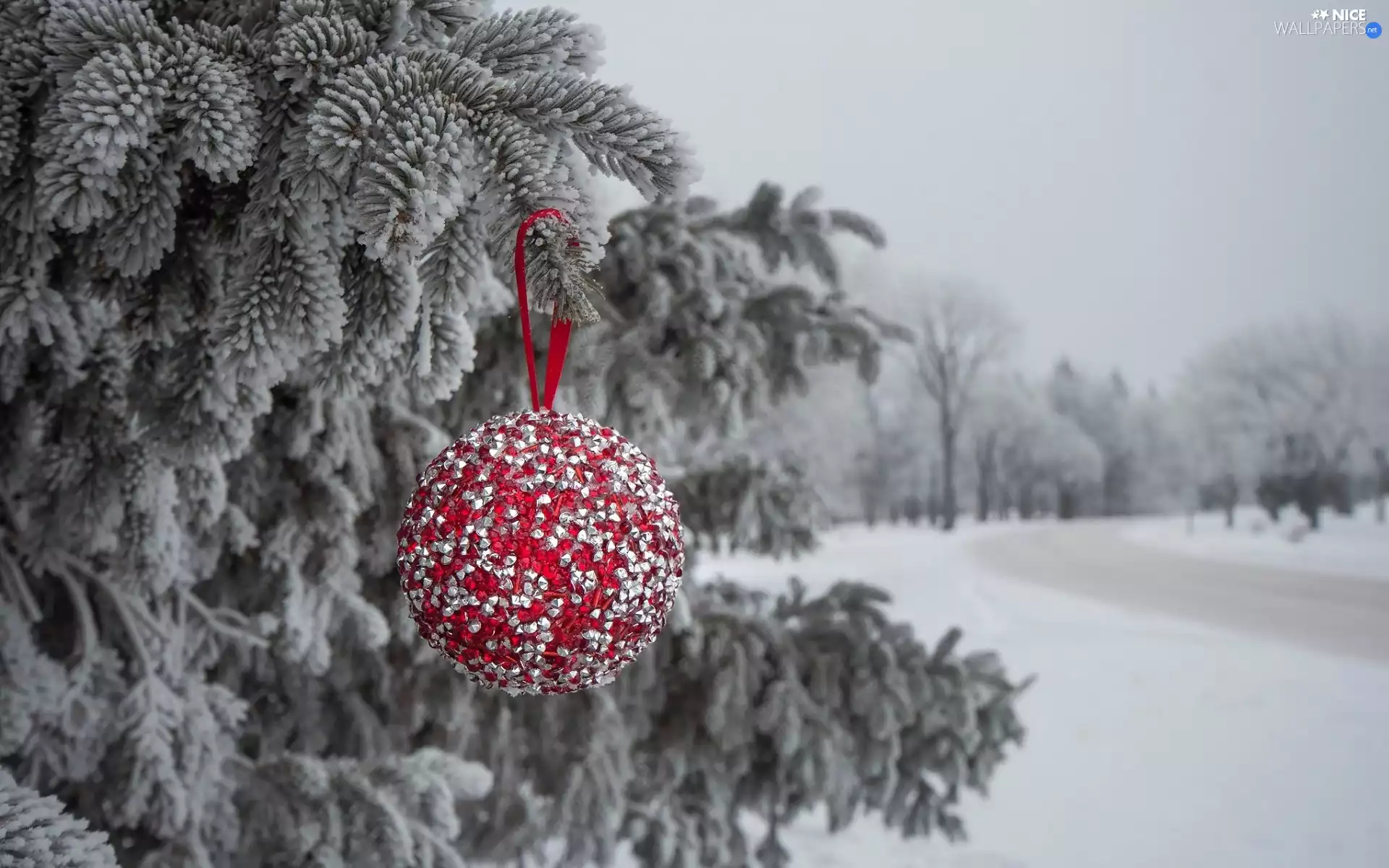 red hot, frosted, decoration, fir, winter, bauble, Christmas