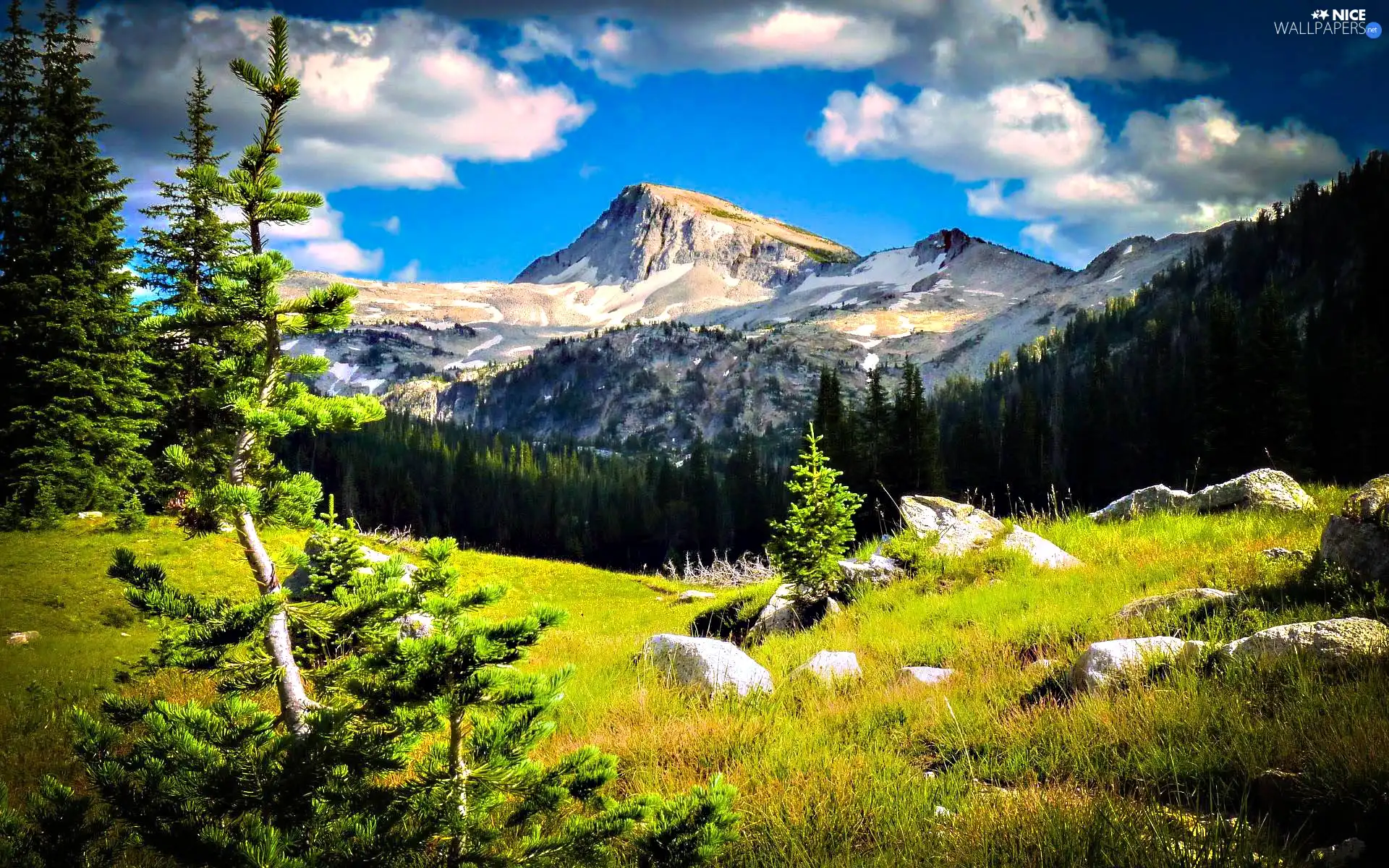 Mountains, grass, Christmas, clouds