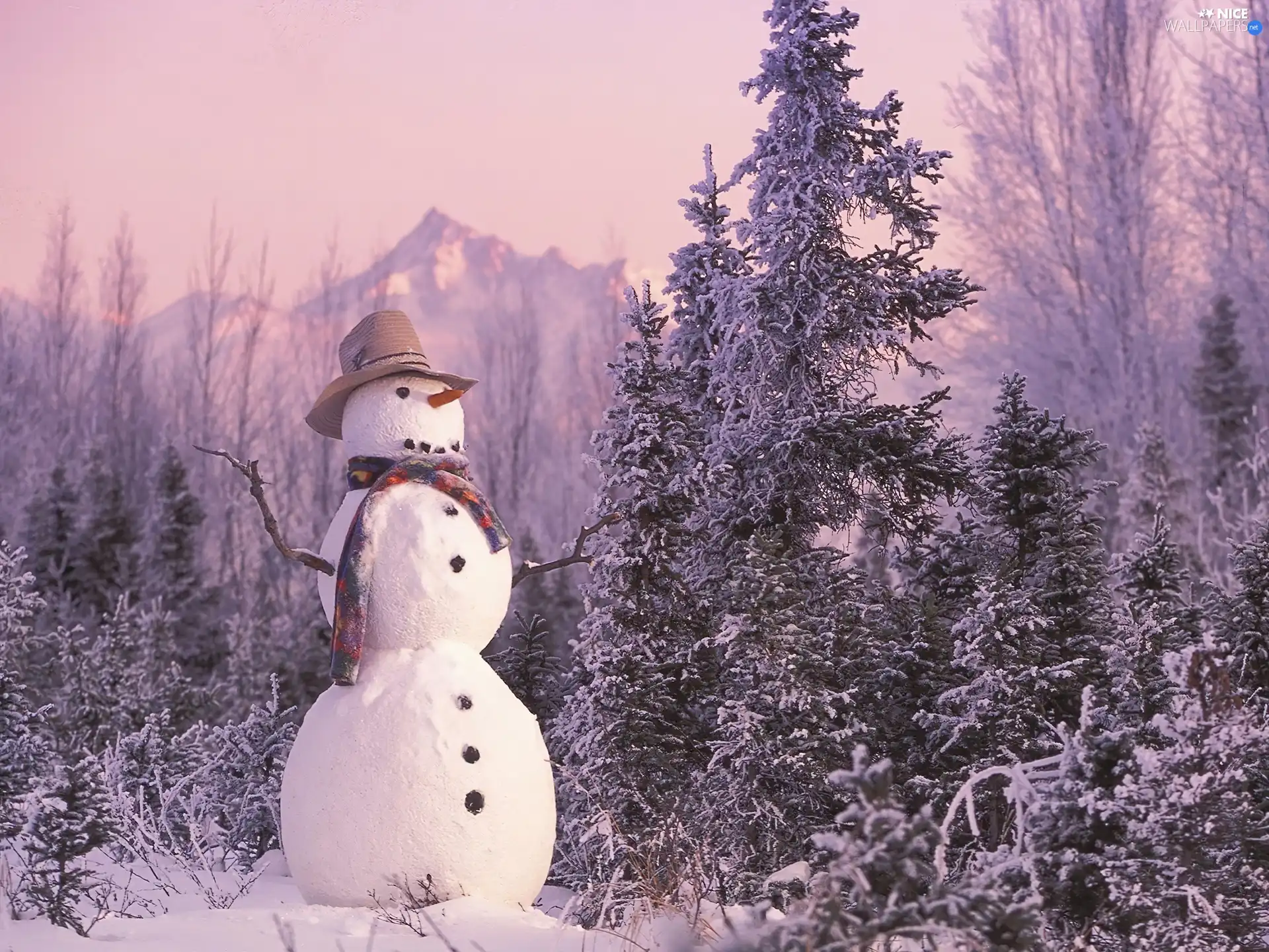 Snowman, winter, christmas tree, snow