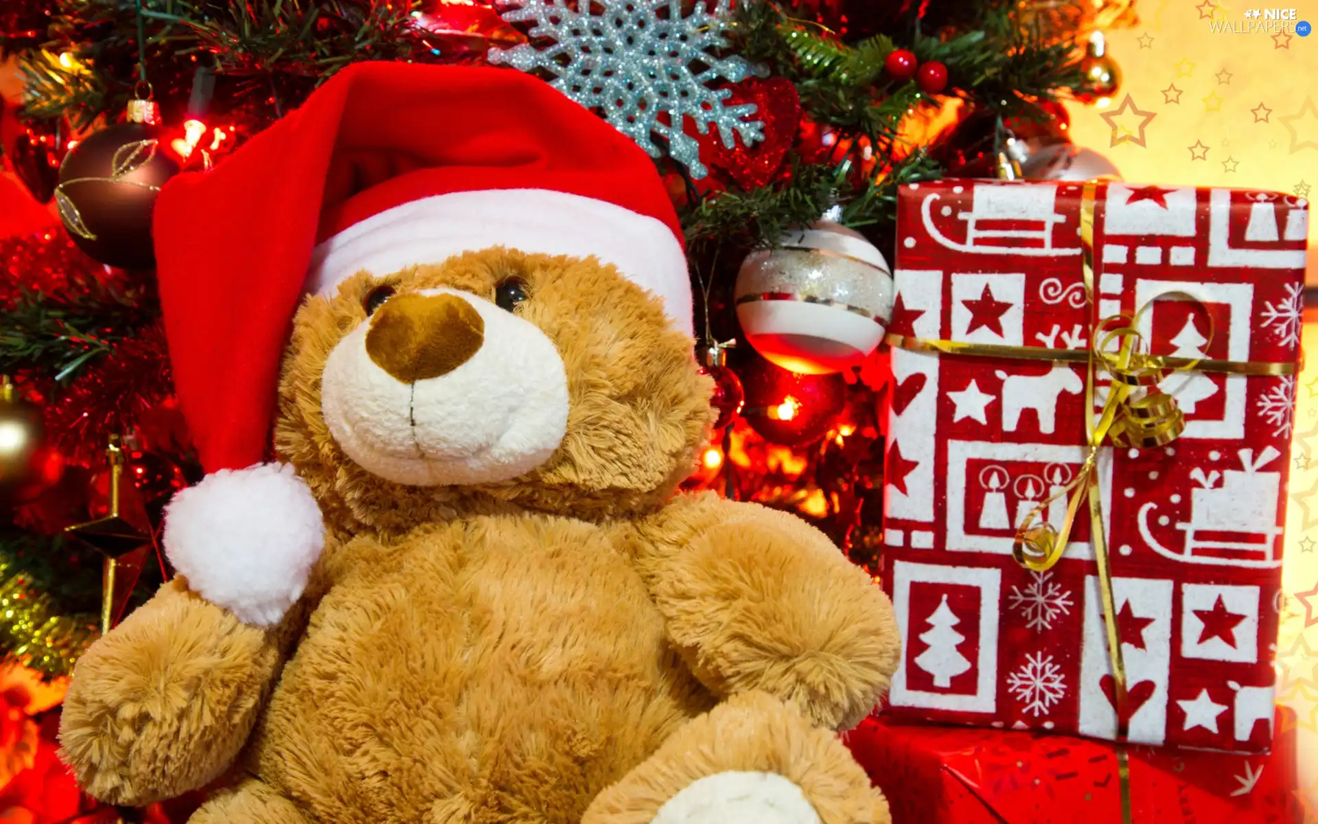 teddybear, pack, christmas tree, Bonnet